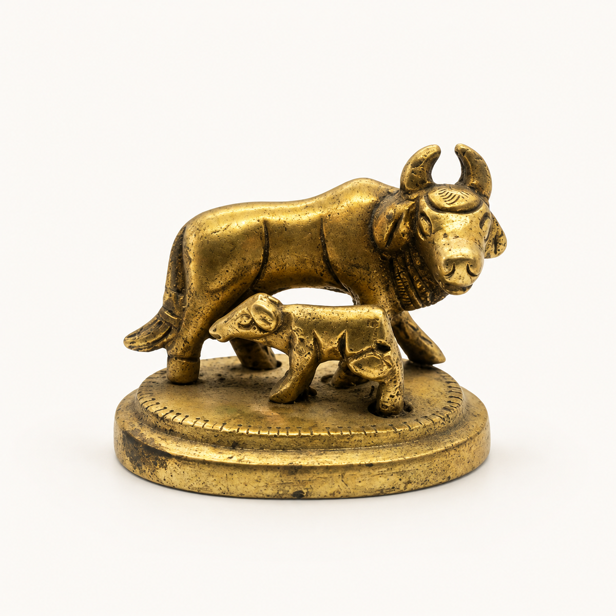 Cow With Calf Brass Statue on a warm white studio background