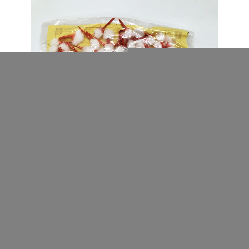 Puja Item